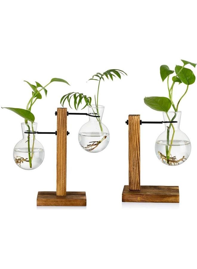 Creative Glass Plant Terrarium With Wooden Stand Multicolour one size cm