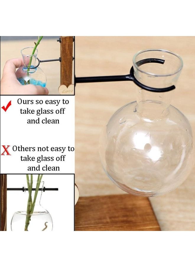 Creative Glass Plant Terrarium With Wooden Stand Multicolour one size cm