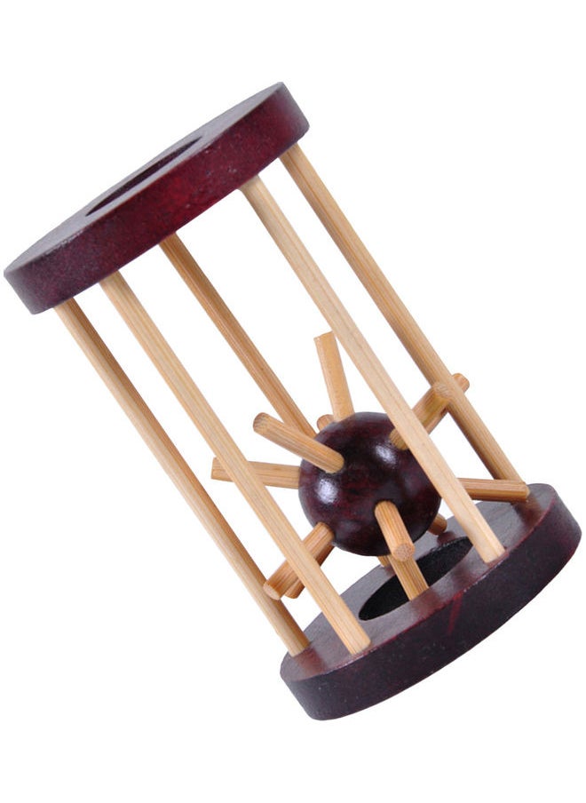 Take Thorn From The Cage Brain Teaser Toy