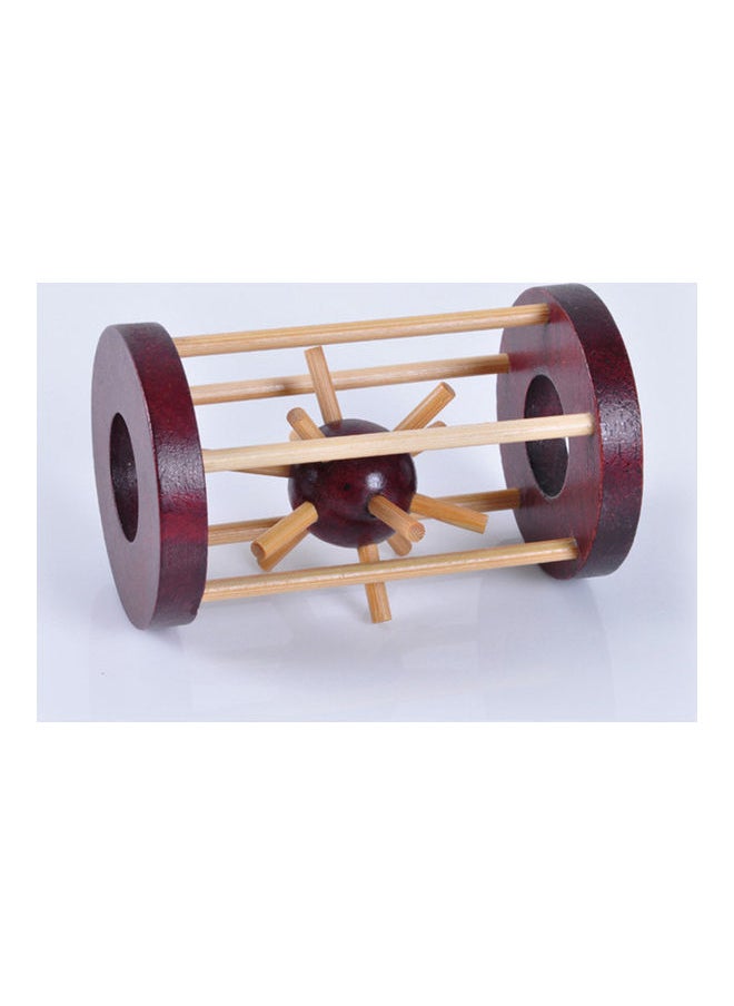 Take Thorn From The Cage Brain Teaser Toy