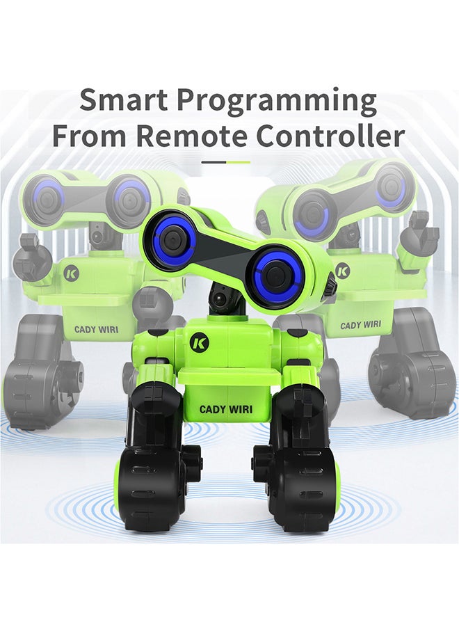 RC Smart Robo Toy R13