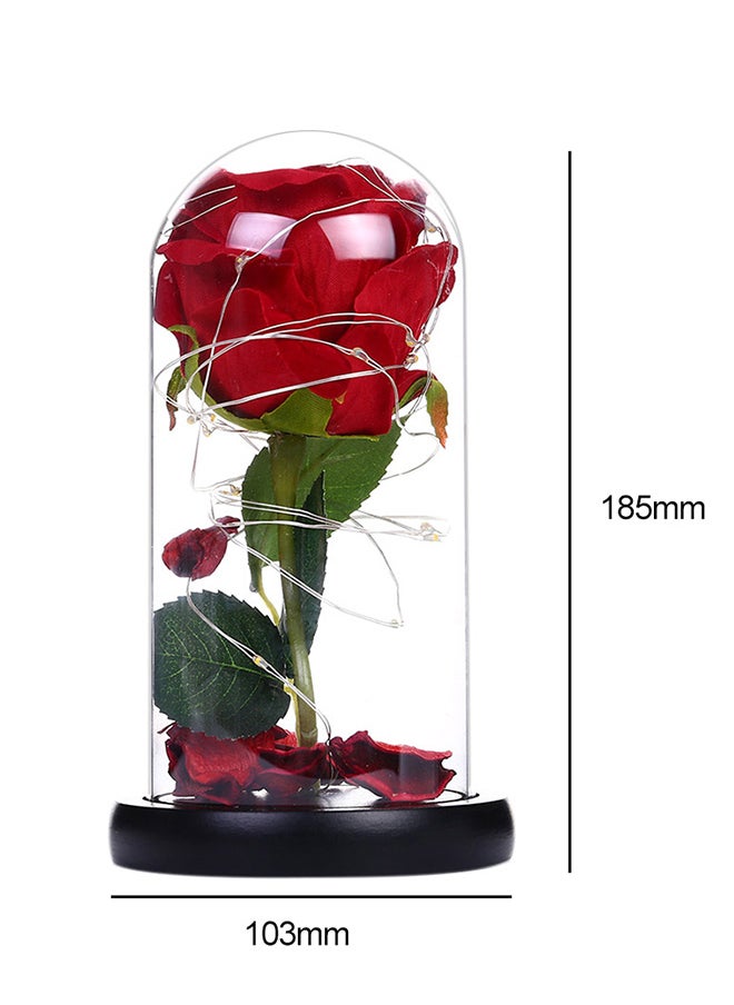 Beautiful Preserved Rose Flower LED Light With Glass Cover