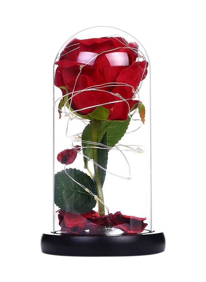 Beautiful Preserved Rose Flower LED Light With Glass Cover