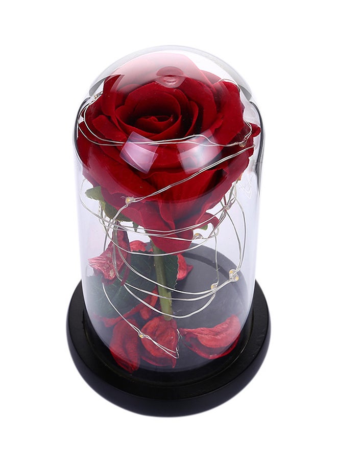 Beautiful Preserved Rose Flower LED Light With Glass Cover