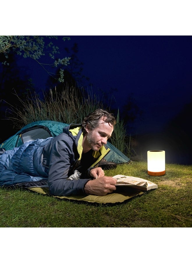 Dimmable LED Night Lamp