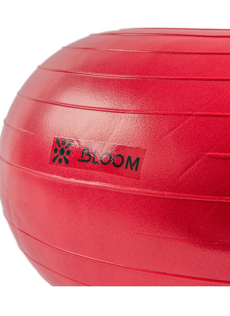 Bloom Balance Ball