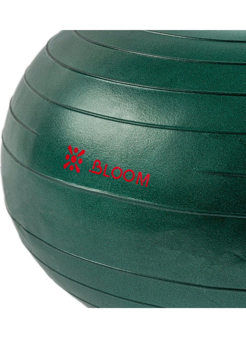 Bloom Balance Ball