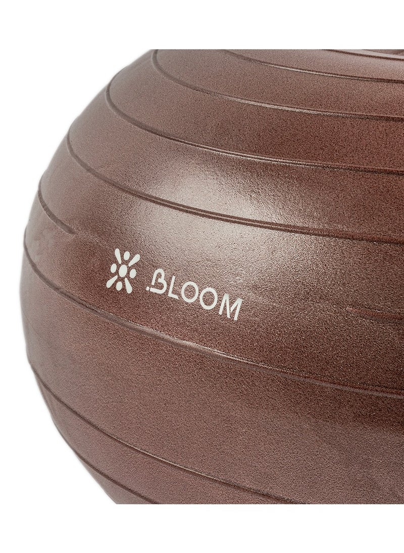 Bloom Balance Ball
