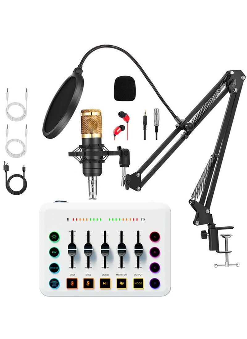 Podcast Equipment Bundle, BM800 Condenser Podcast Microphone Bundle Kit with F9 Live Sound Card, Streaming Audio Mixer Studio All-in-one Beginner Podcast Package for Recording YouTube TikTok
