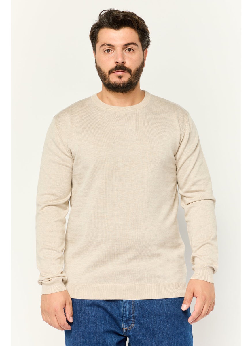 Men Crew Neck Long Sleeve Knitted Sweater, Beige