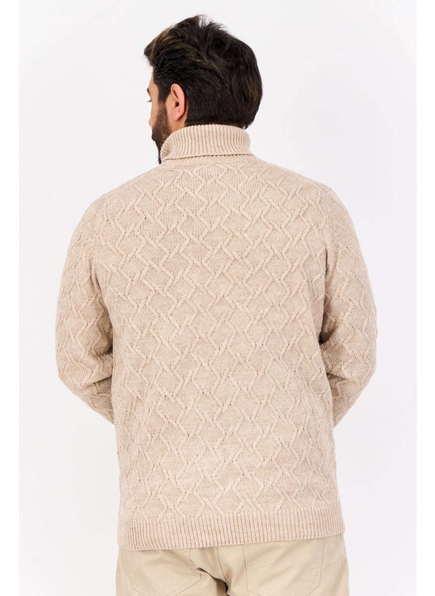 Men Turtle Neck Textured Long Sleeves Sweater, Tan