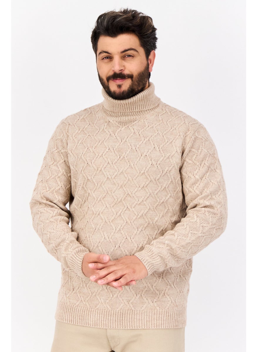 Men Turtle Neck Textured Long Sleeves Sweater, Tan
