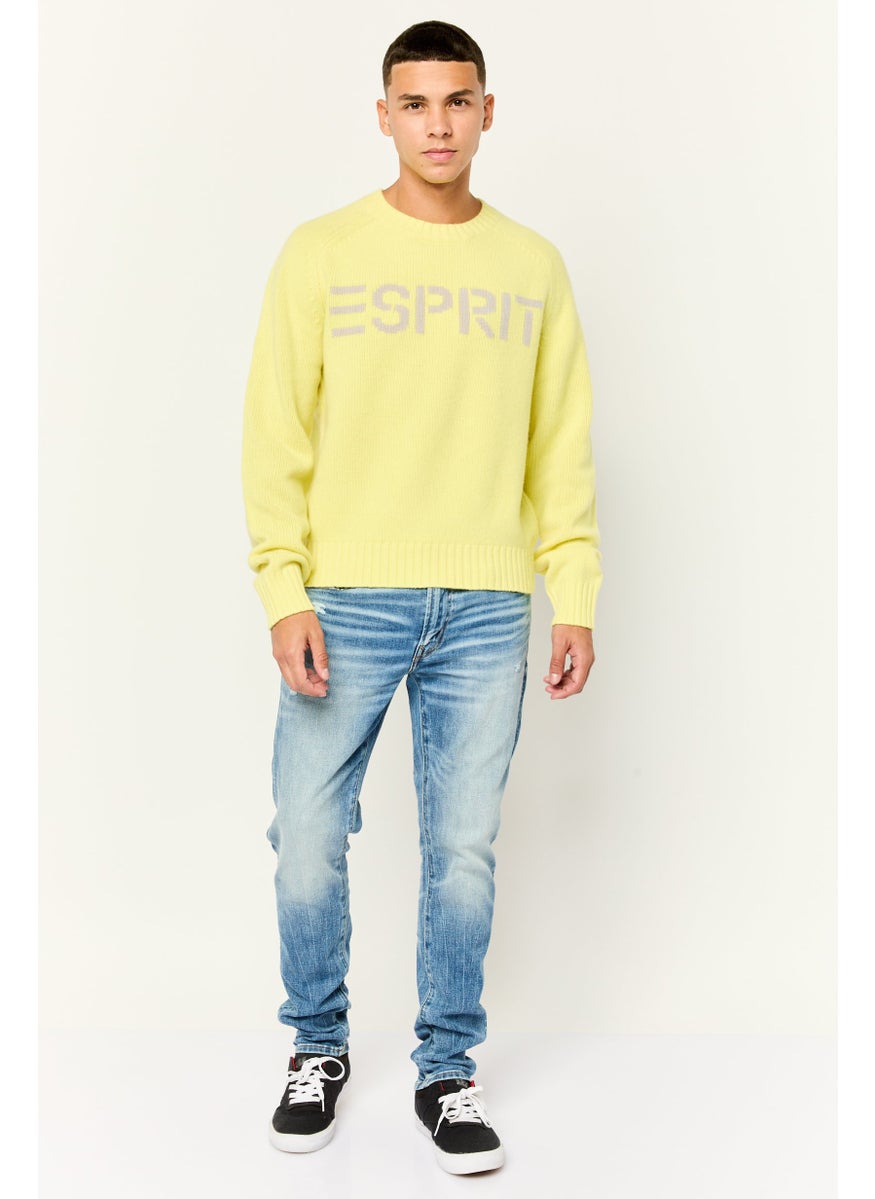Men Ribbed Collar Embroidered Logo Sweaters, Acid Yellow