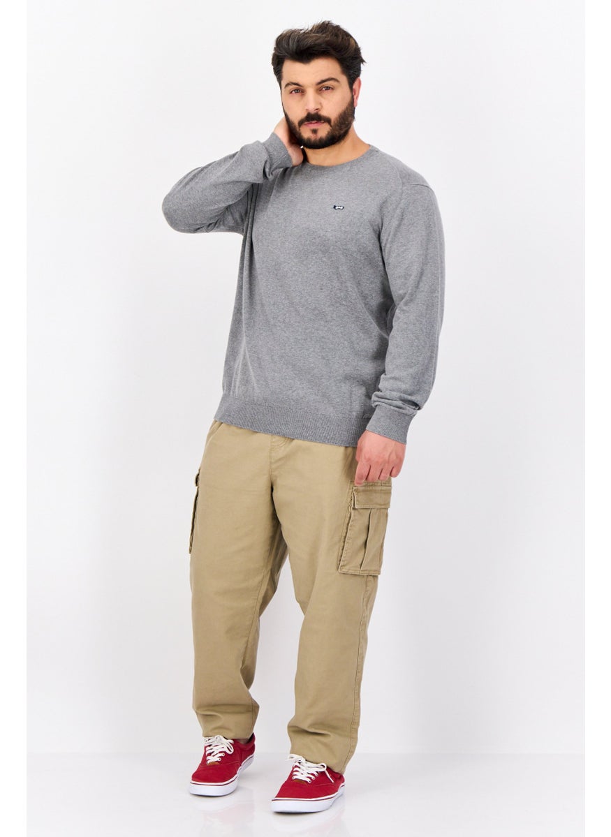 Men Crew Neck Solid Long Sleeves Sweater, Grey