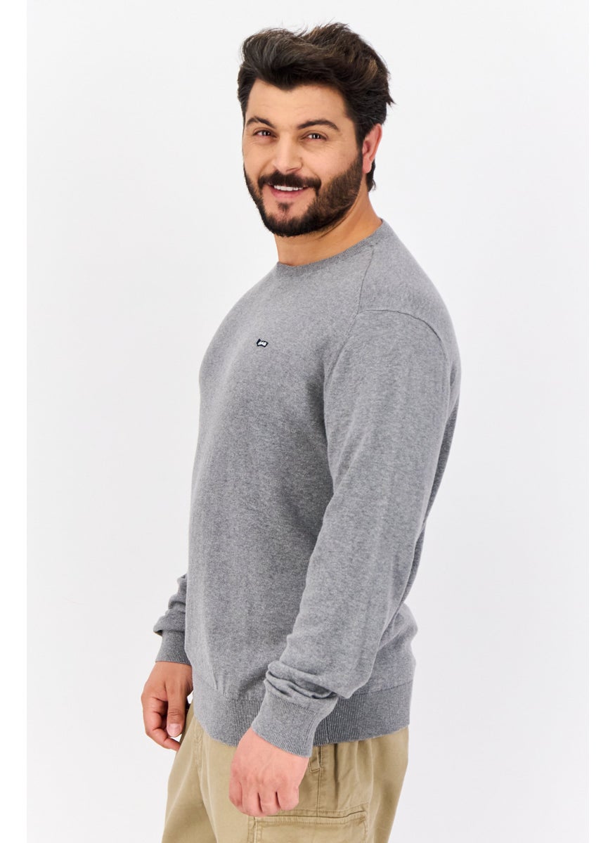 Men Crew Neck Solid Long Sleeves Sweater, Grey