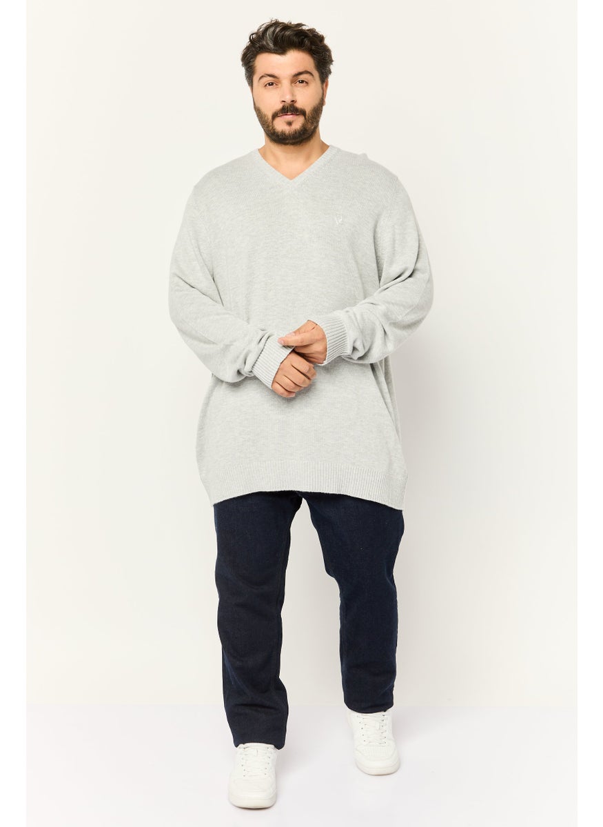 Men V-Neck Embroidered Logo Long Sleeves Sweater, Light Grey