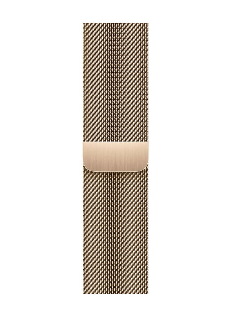 Watch Series 9 GPS + Cellular 45mm Gold Stainless Steel Case With Gold Milanese Loop