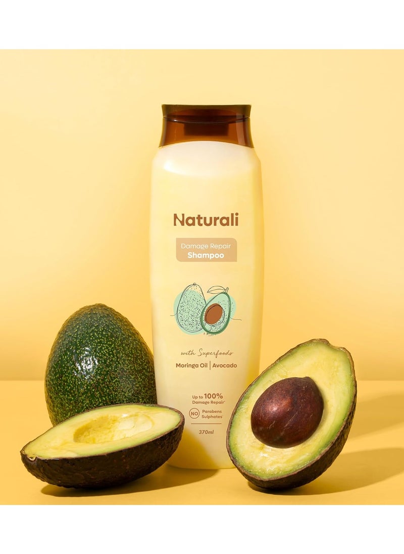 Damage Repair Shampoo with Moringa Oil & Avocado | Repairs Hair Damage | Paraben and Sulphate Free | Best Shampoo for Dry & Frizzy Hair (370ml)