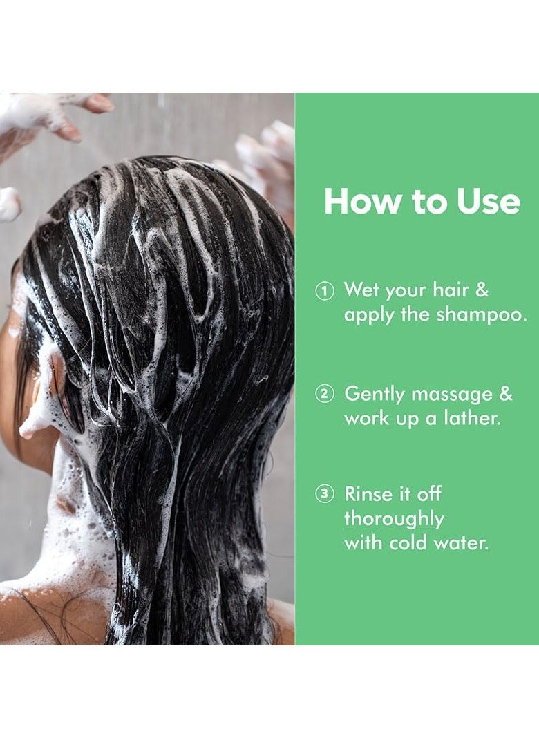 Dandruff Defence Shampoo with Tea Tree Oil & Cactus Extracts | Prevents Dandruff | Paraben and Sulphate Free Shampoo (370ml)