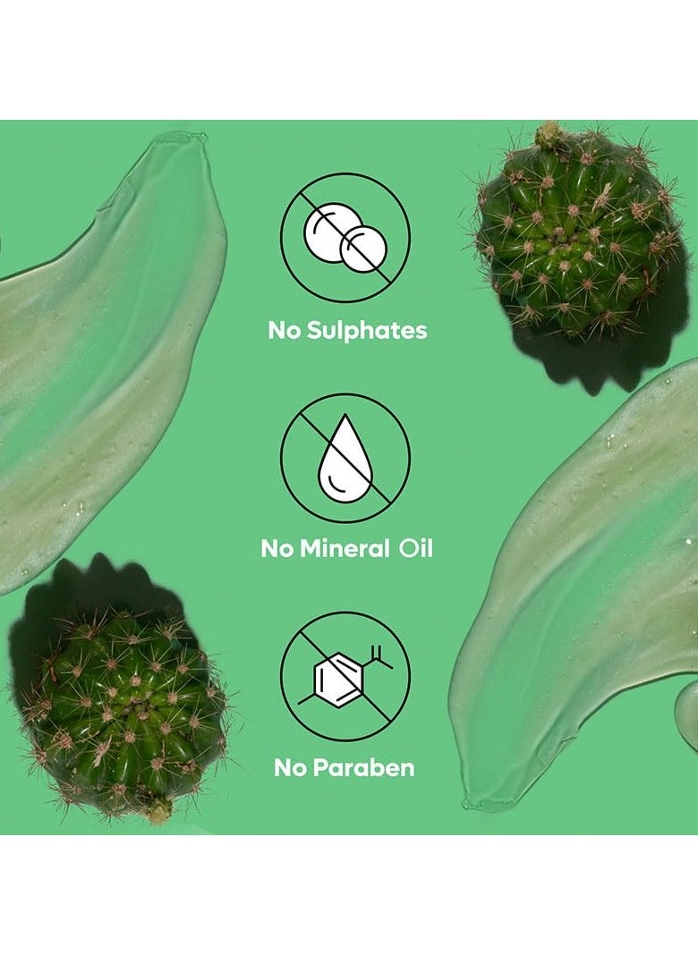 Dandruff Defence Shampoo with Tea Tree Oil & Cactus Extracts | Prevents Dandruff | Paraben and Sulphate Free Shampoo (370ml)