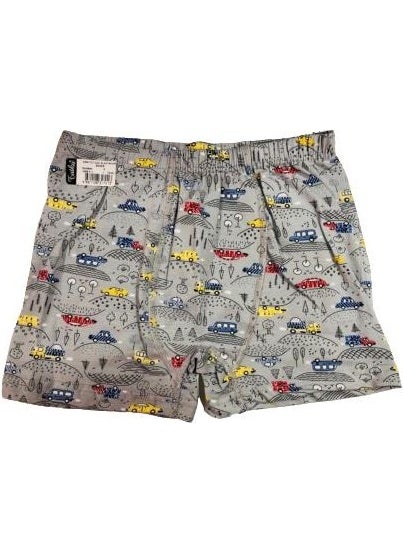 0254 Boy Printed Patterned Boxer 12 Pieces