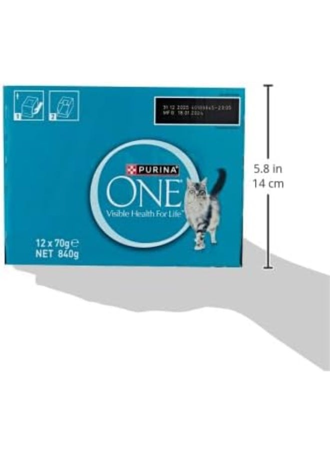 PURINA ONE Wet Cat Healthy Adult with Ocean Fish 70g Pack of 12