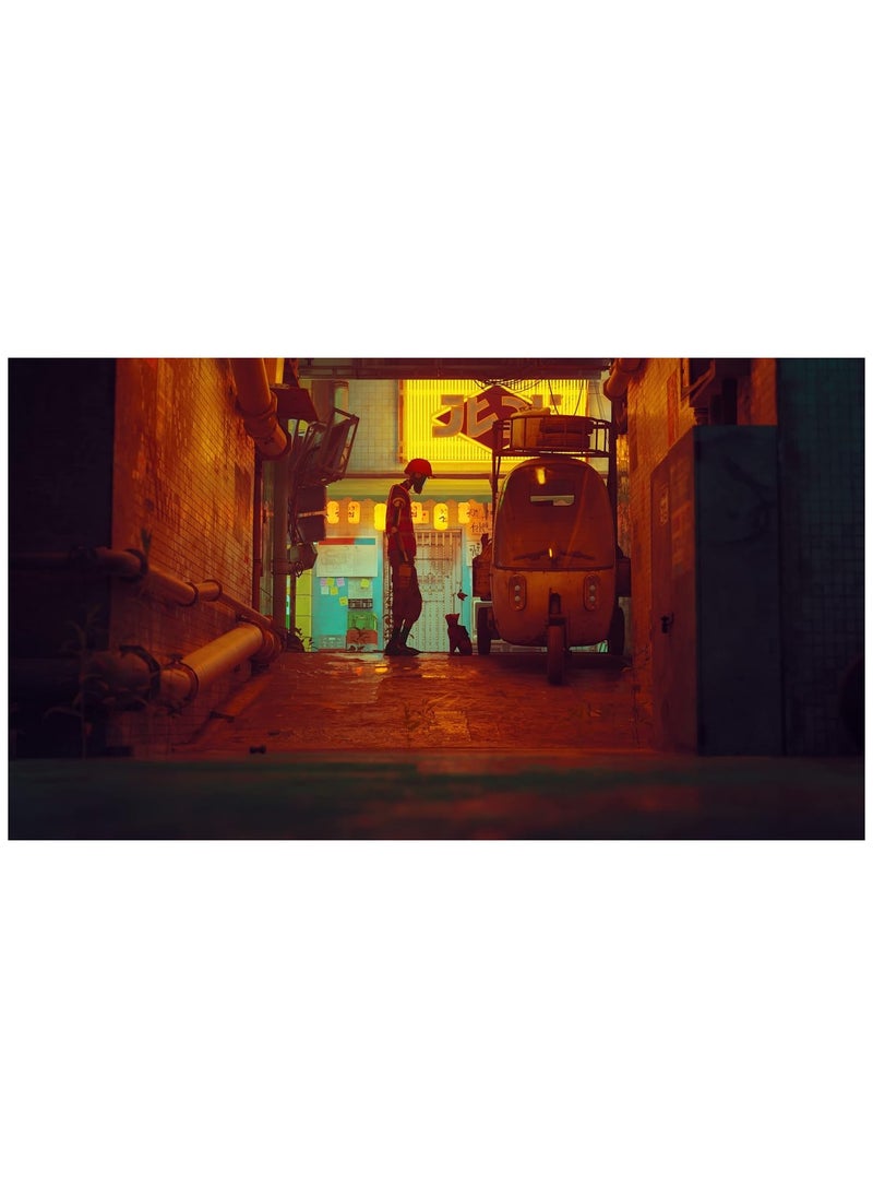 PS5 Stray