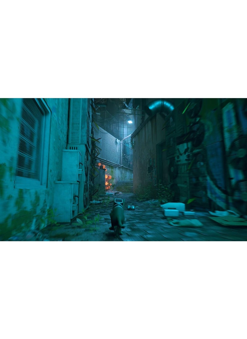 PS5 Stray
