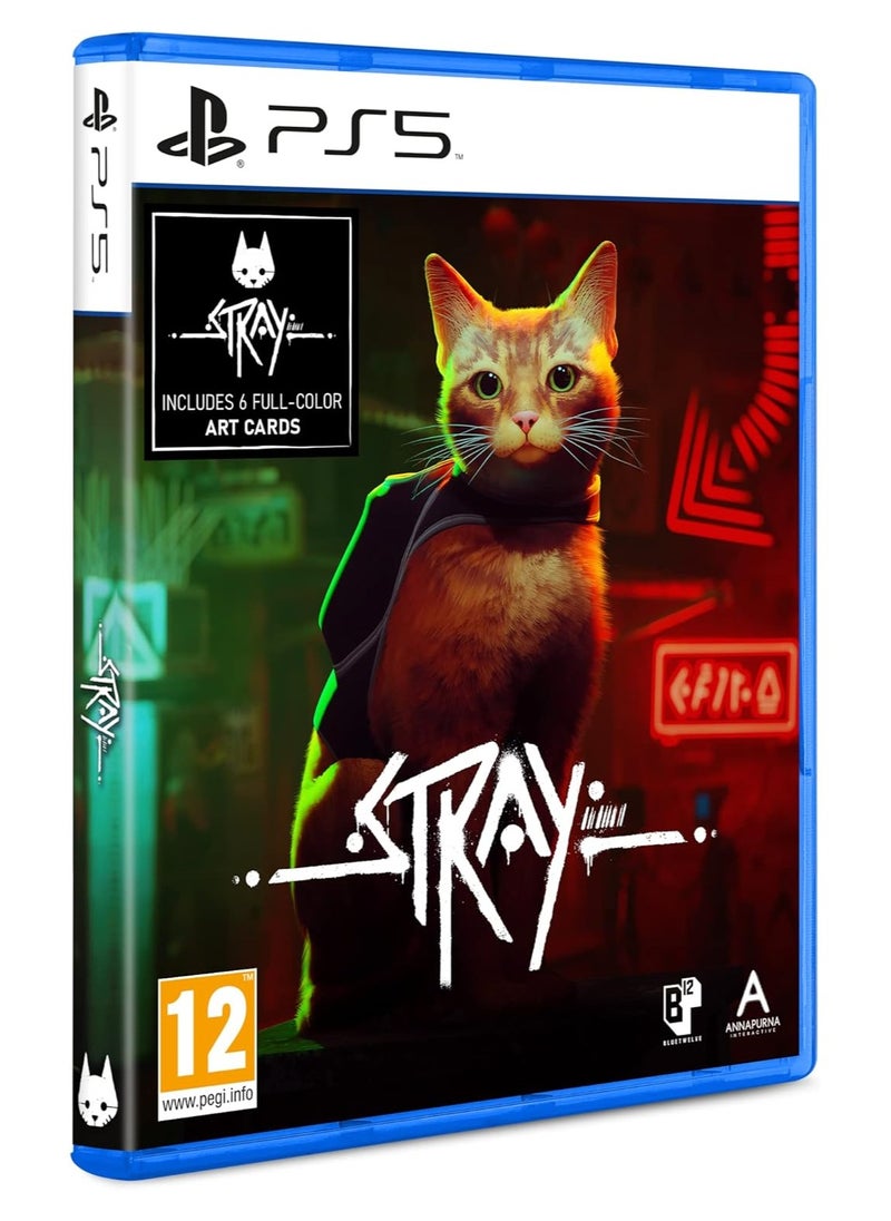 PS5 Stray