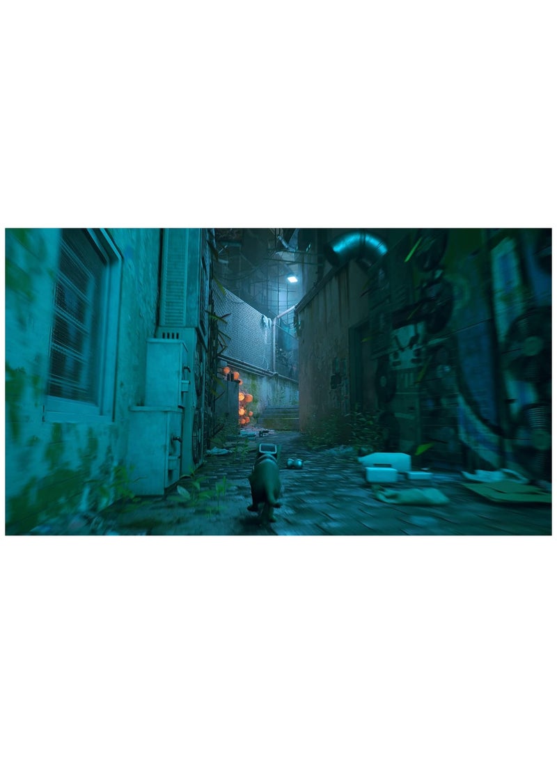 PS5 Stray