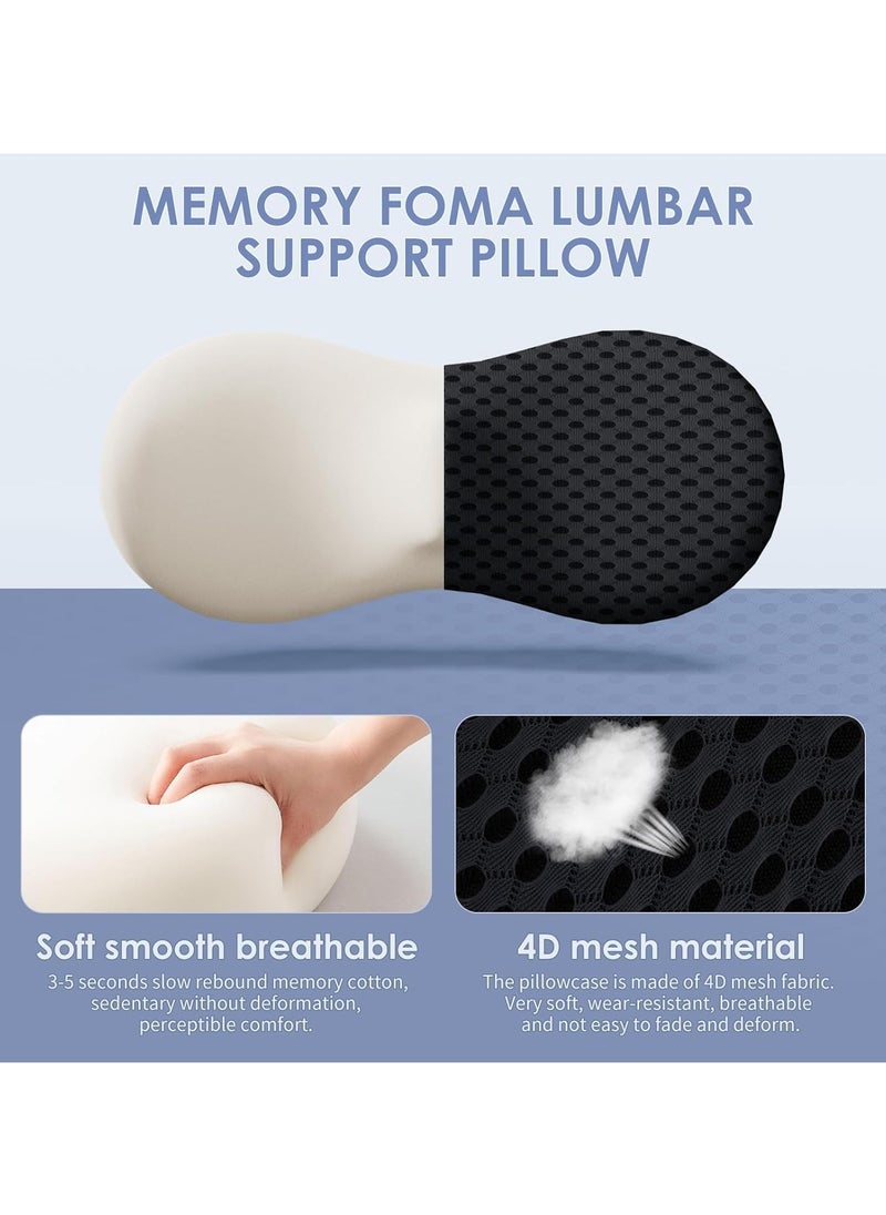Lumbar Support Pillow Ergonomic Memory Foam Lumbar Pillow, Relieve Back Pain, CMFY Breathable & Detachable & Washable, Neo Cushion Lower Back Pillow for Office Chairs, Car Seats