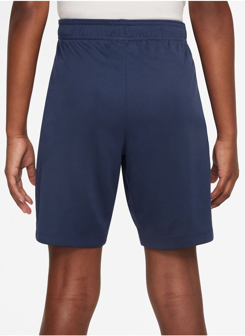 Youth Psg Dri-Fit Shorts