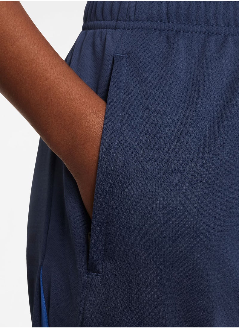 Youth Psg Dri-Fit Shorts