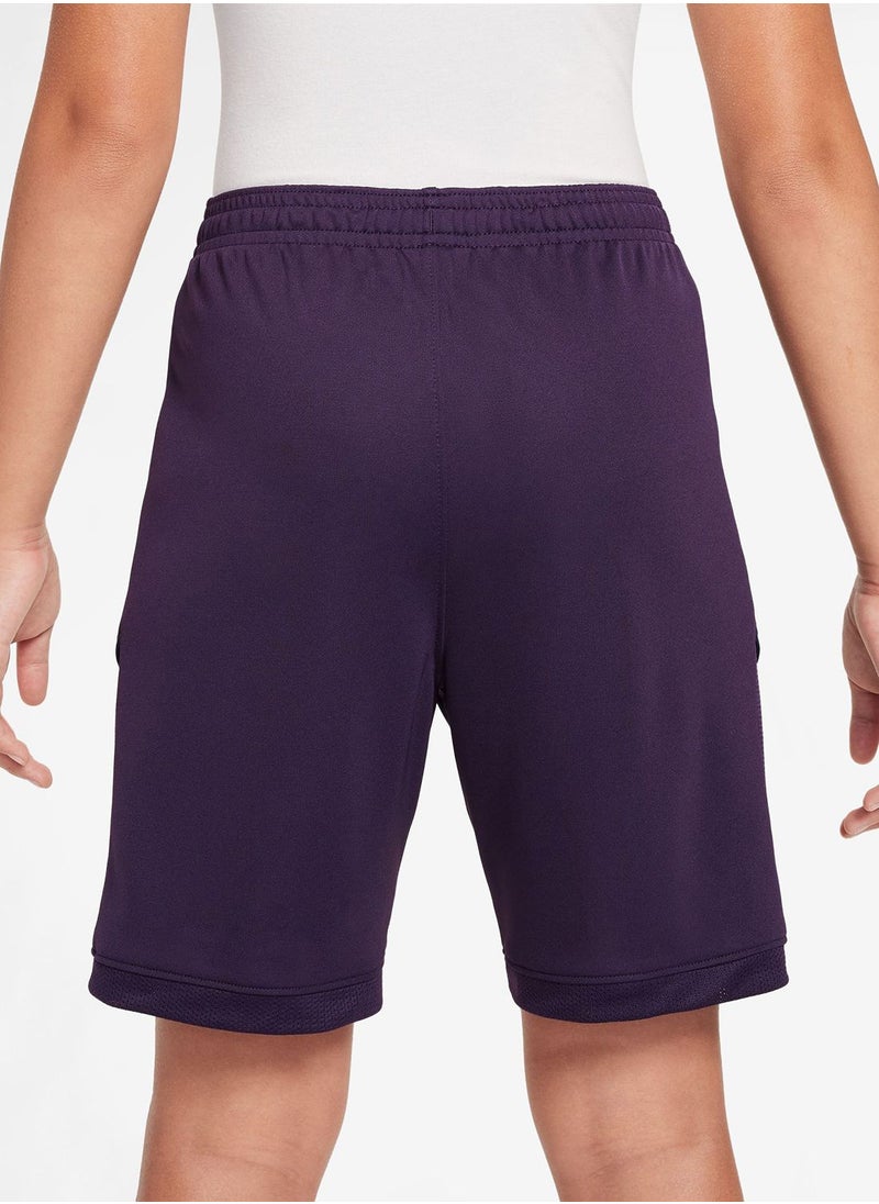 Kids Dri-Fit Academy Shorts