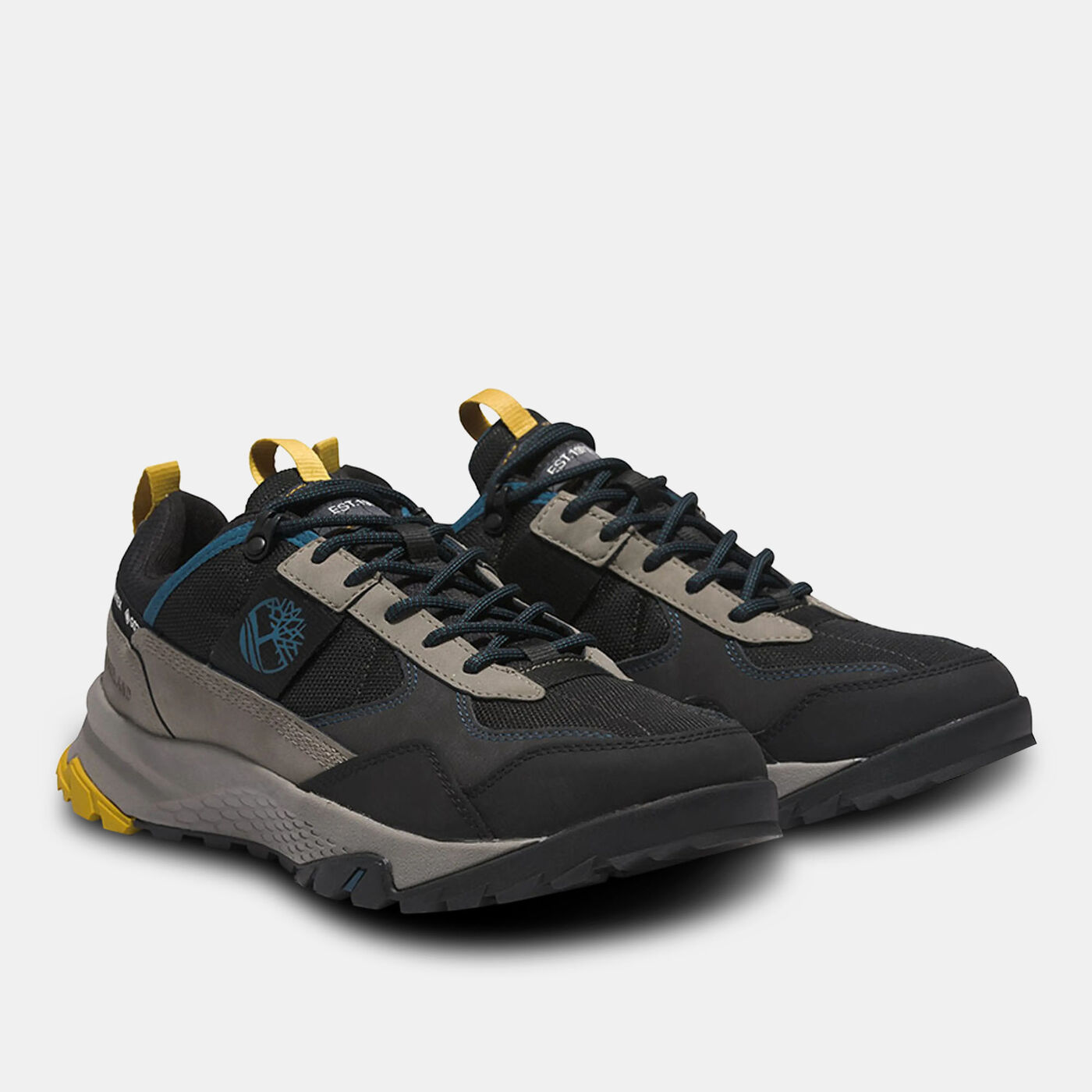 Men's Lincoln Peak Gore-Tex Hiking Shoes
