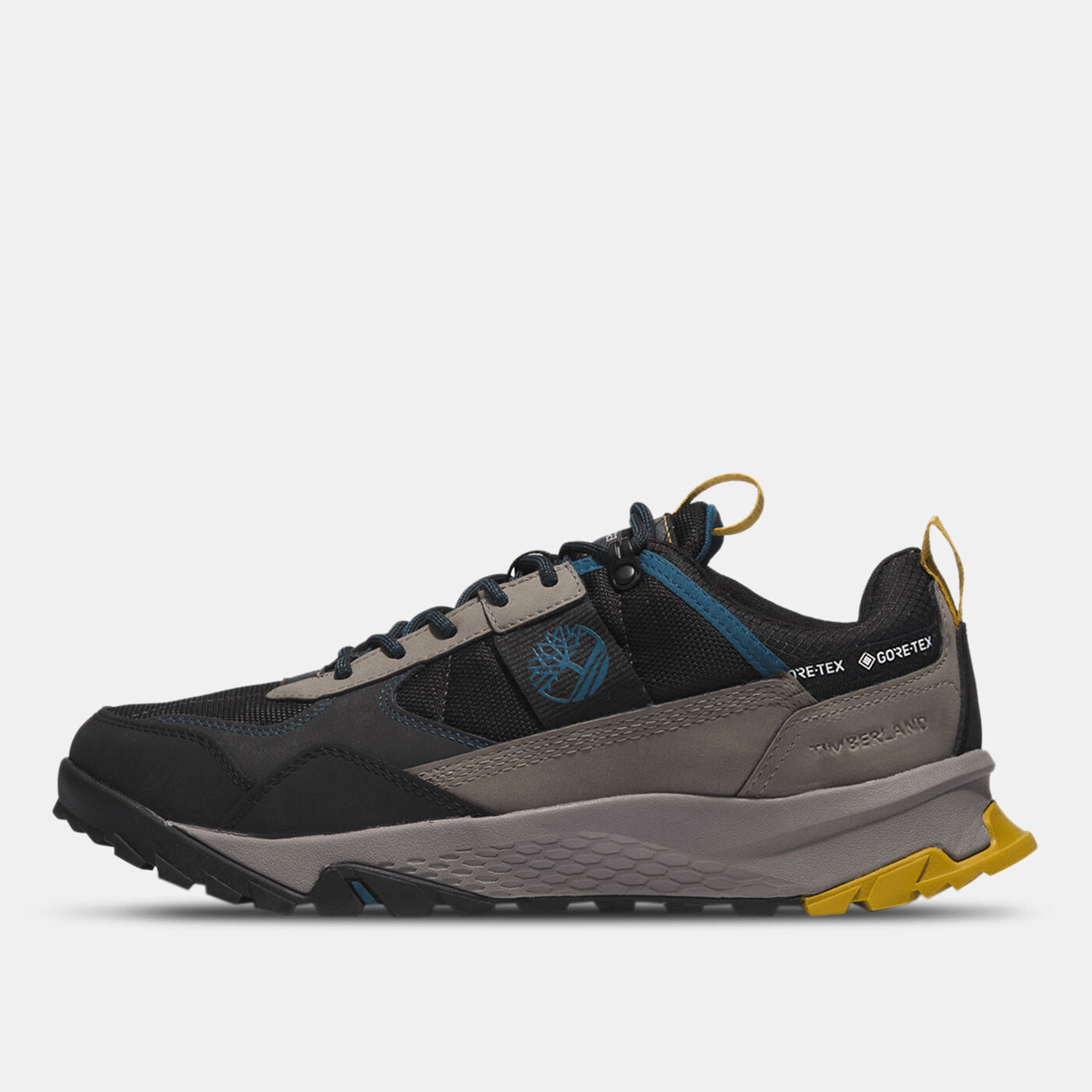 Men's Lincoln Peak Gore-Tex Hiking Shoes