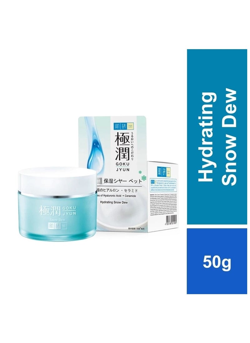 Hada Labo Hydrating Snow Dew 50g [Moisturiser/ Sorbet texture/ Moisturizing/ Refreshing]