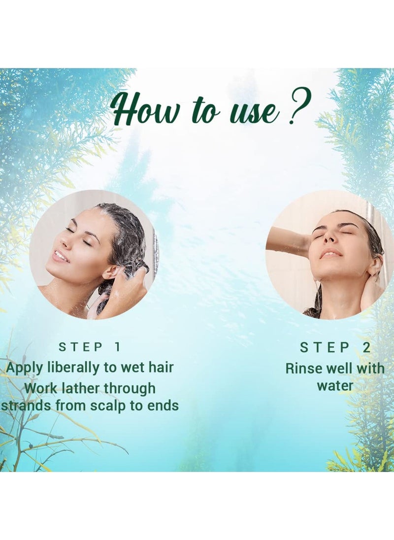 Ocean Kelp Anti Hairfall Shampoo | Intensive Hair Growth Therapy| Anti Hairfall Shampoo that Maintains Shine |100% Botanical Extracts | Suitable for All Hair Types |500ml