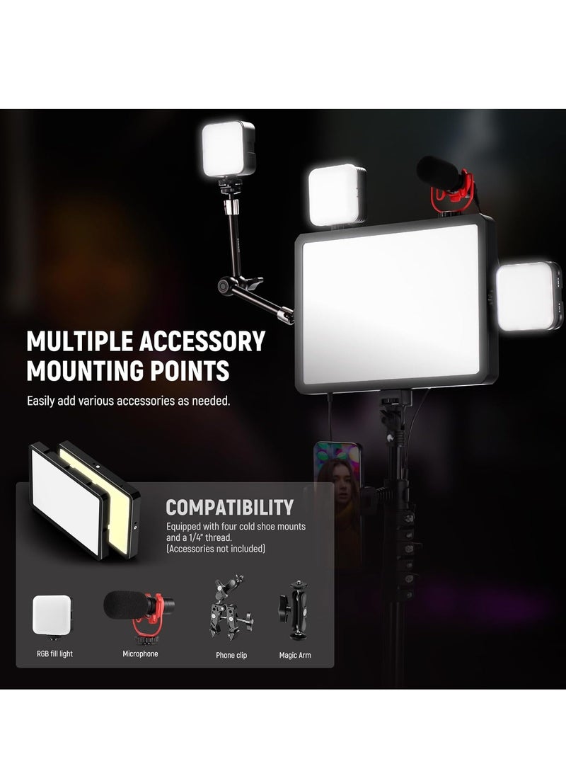 NEEWER BASICS 2 Pack LED Video Light Panel Lighting Kit with 2 59'' Stands & 2 Phone Holders, 850lx/0.5m Bi Color 2700K-6500K Dimmable Studio Light for Photography Filming Recording Live Stream, BP300