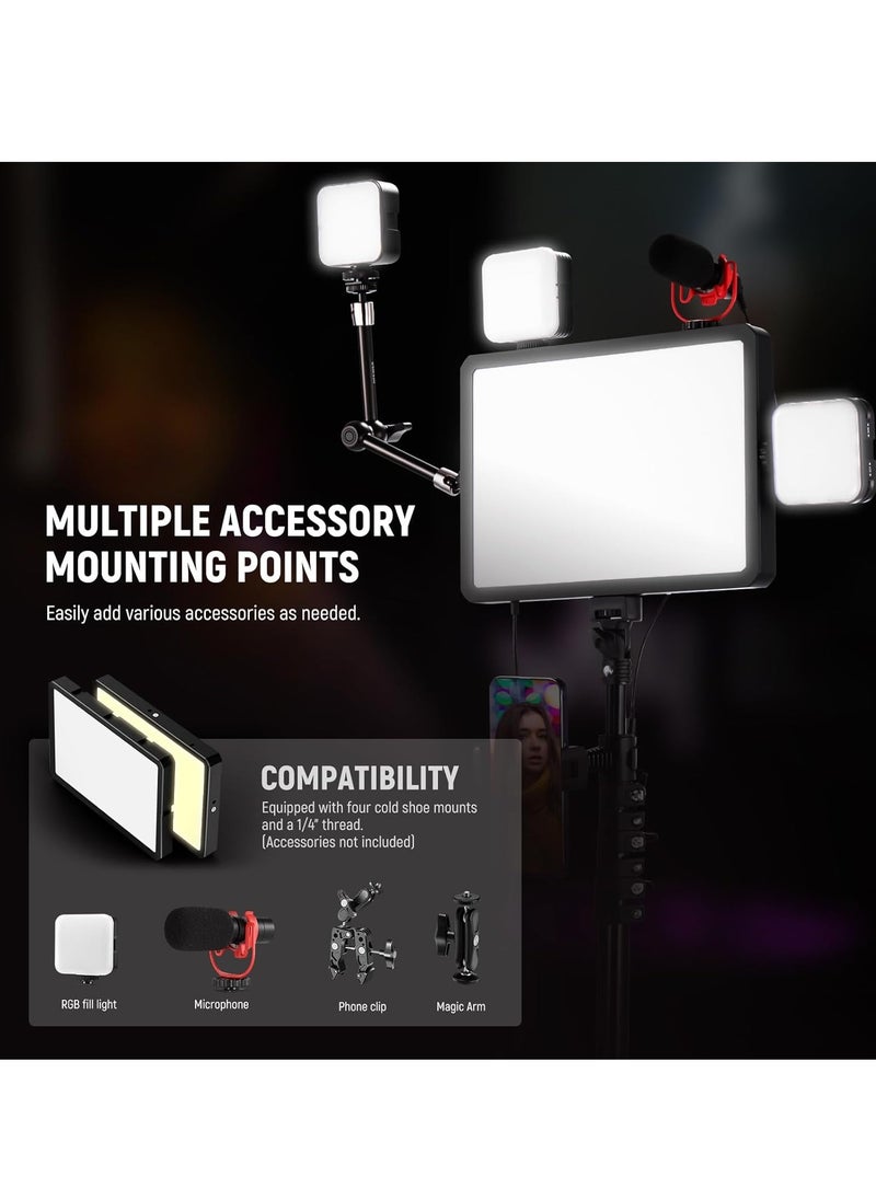 NEEWER BASICS 2 Pack LED Video Light Panel Lighting Kit with 2 59'' Stands & 2 Phone Holders, 850lx/0.5m Bi Color 2700K-6500K Dimmable Studio Light for Photography Filming Recording Live Stream, BP300