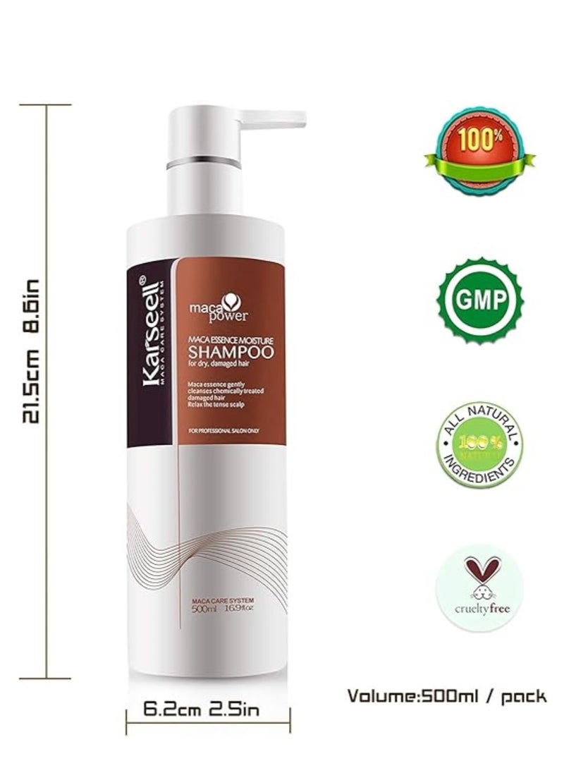 Argan Oil Shampoo and Conditioner Set – Deep Repair and Restoration for Dry, Damaged, and Color-Treated Hair – Enriched with Moroccan Argan Oil for Intense Hydration and Nourishment