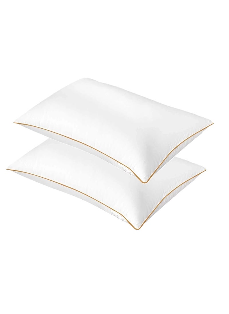 2 Piece Pack Cotton Classic Bed Pillow Golden Single Piping Pillow 50x70cm Made in Uae