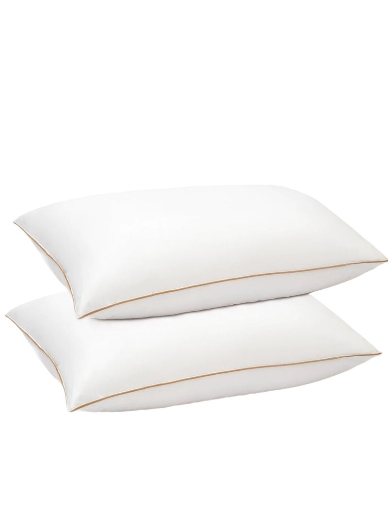 2 Piece Pack Cotton Single Piping Golden Line Pillow White 50x70cm Made in Uae