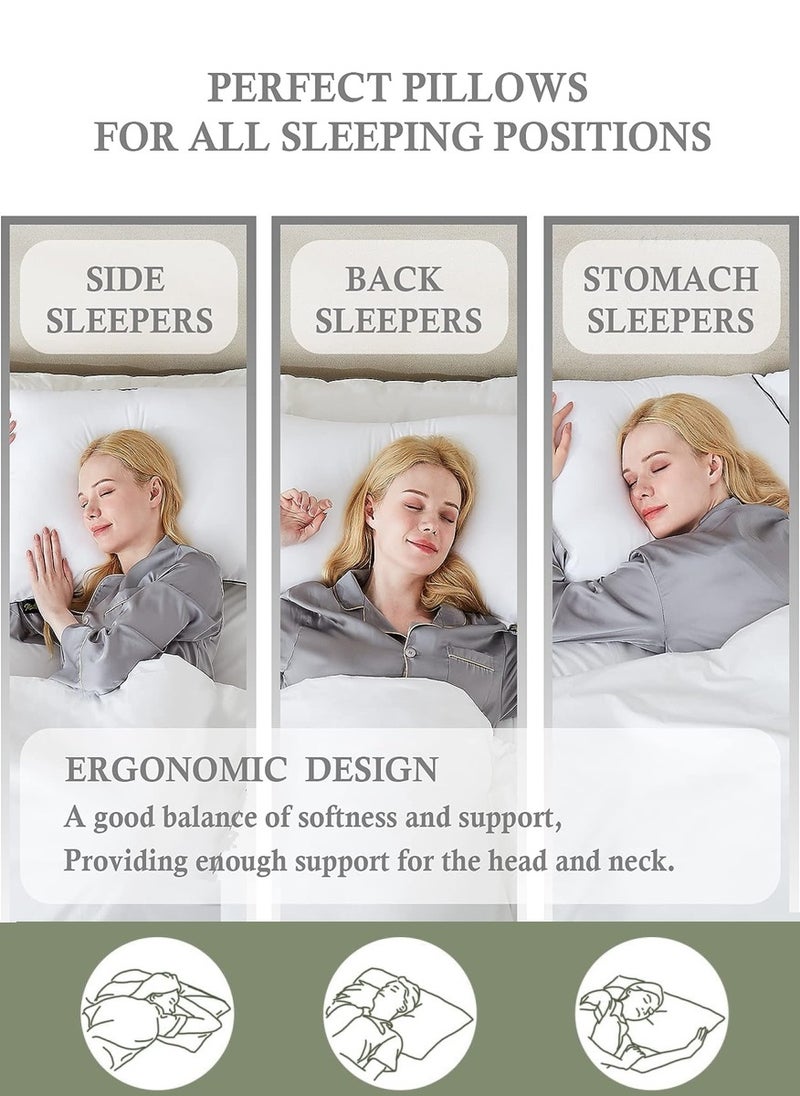 2 Piece Pack Cotton Bed Sleeping Pillow Golden Single Piping  50x70cm Made in Uae