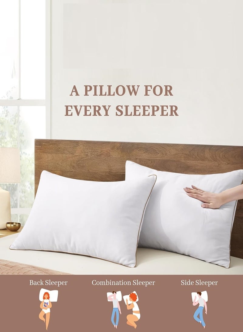 2 Piece Pack Single Piping Soft Bed Pillow White With Gold Line 50x70cm Made in Uae