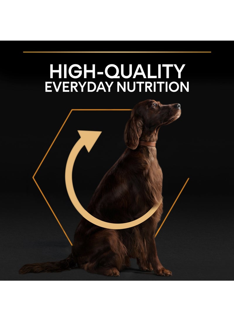 Everyday Nutrition Large Athletic Adult, Dry Dog Food with Chicken 14kg