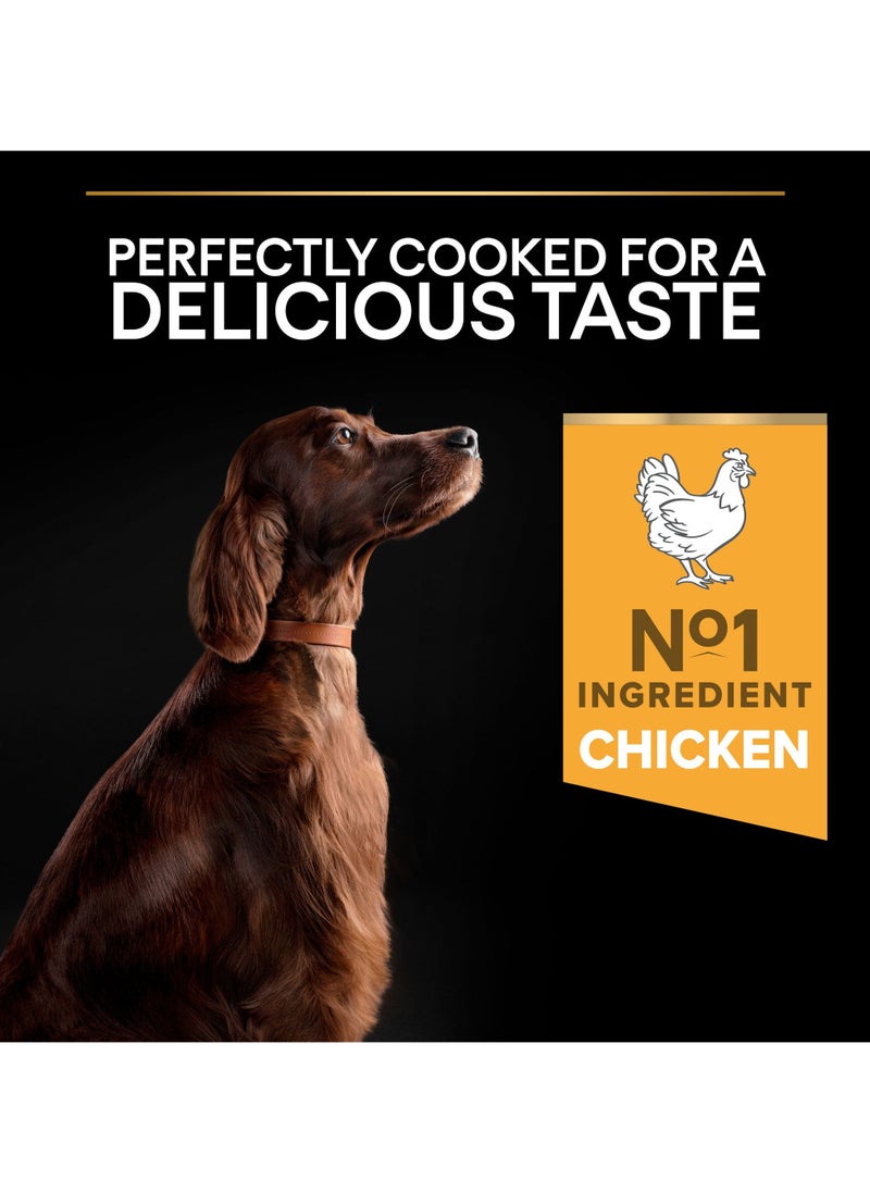 Everyday Nutrition Large Athletic Adult, Dry Dog Food with Chicken 14kg