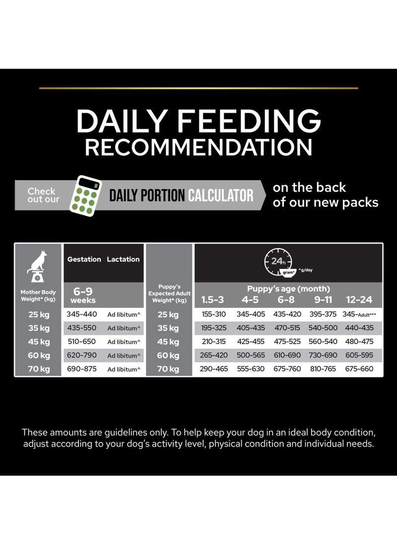 Healthy Start Large Robust Puppy, Dry Dog Food with Chicken 12kg