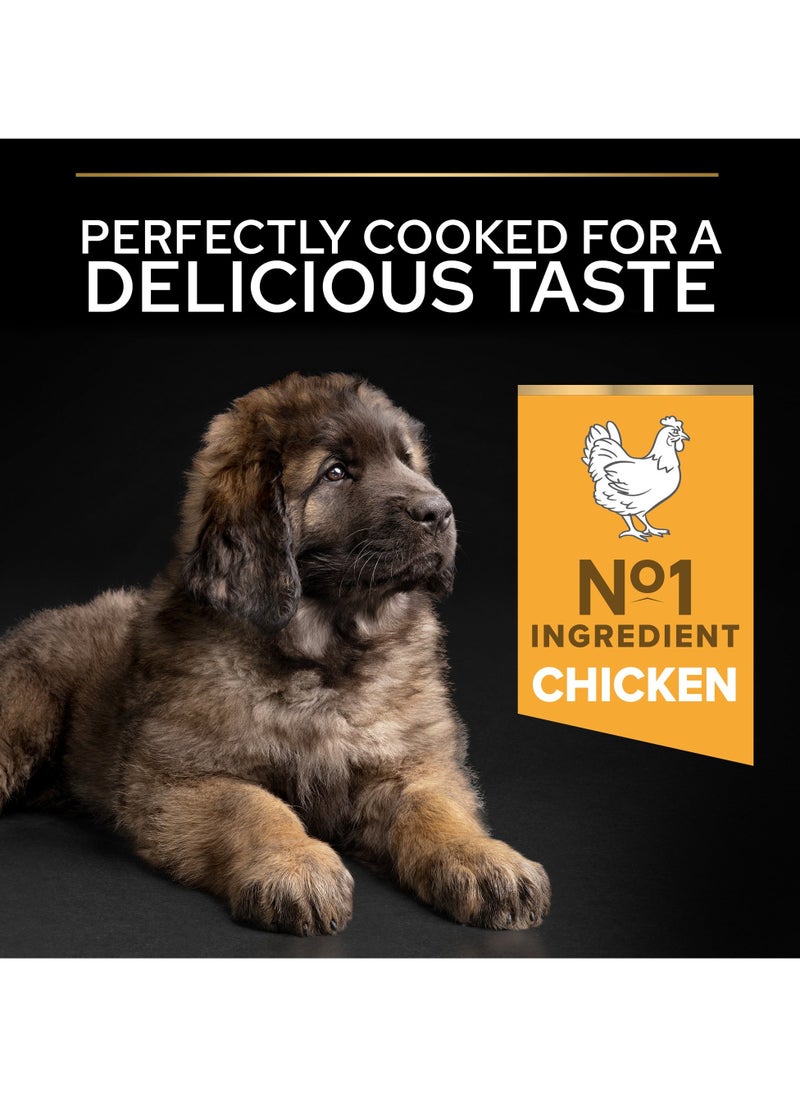 Healthy Start Large Robust Puppy, Dry Dog Food with Chicken 12kg