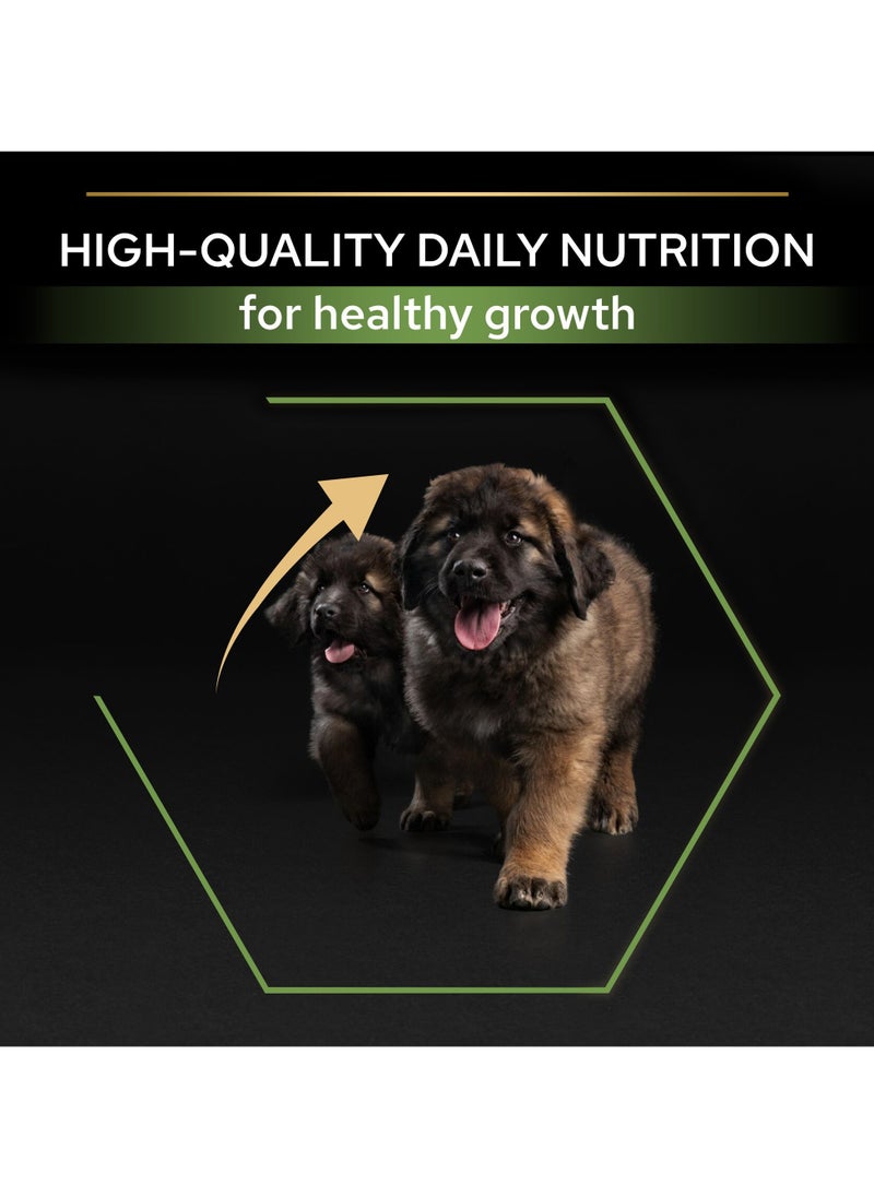 Healthy Start Large Robust Puppy, Dry Dog Food with Chicken 12kg